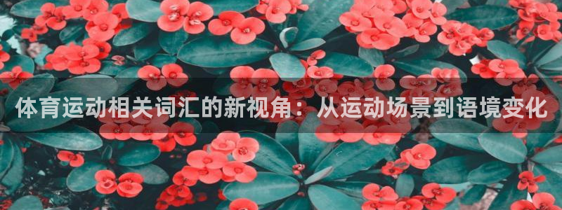 vsport体育在线官网：体育运动相关词汇的新视角：从运动场景到语境变化