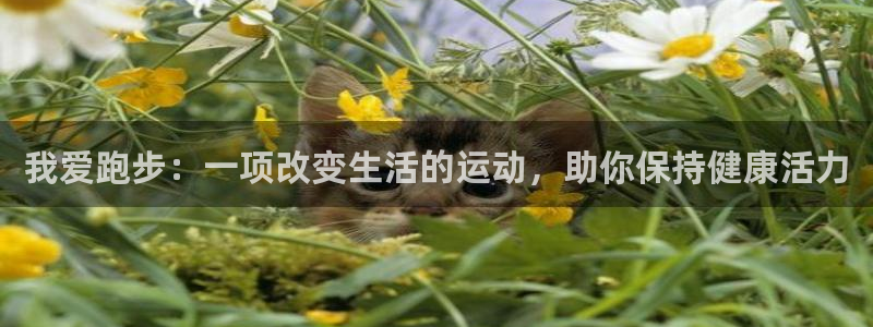 vsport体育在线官网：我爱跑步：一项改变生活的运动，助你保持健康活力
