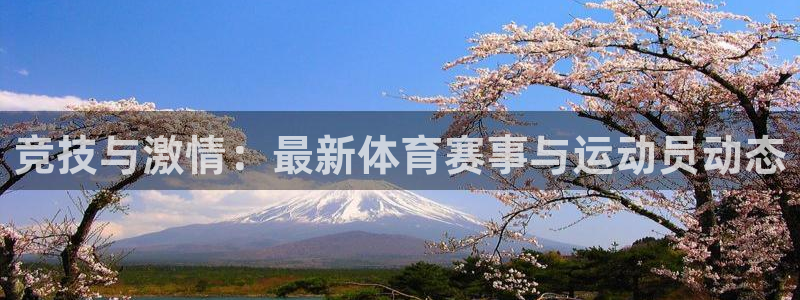 vsport体育在线官网：竞技与激情：最新体育赛事与运动员动态