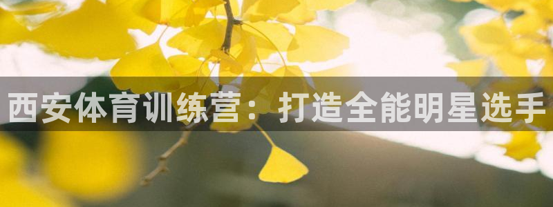 vsport体育：西安体育训练营：打造全能明星选手