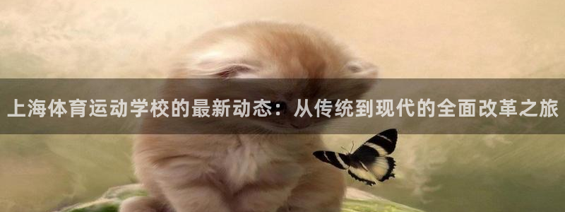 vsport体育在线官网：上海体育运动学校的最新动态：从传统到现代的全面改革之旅