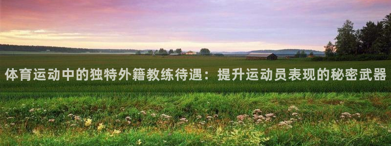 vsport体育在线官网：体育运动中的独特外籍教练待遇：提升运动员表现的秘密武器
