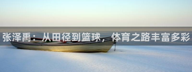 vsport体育：张泽禹：从田径到篮球，体育之路丰富多彩