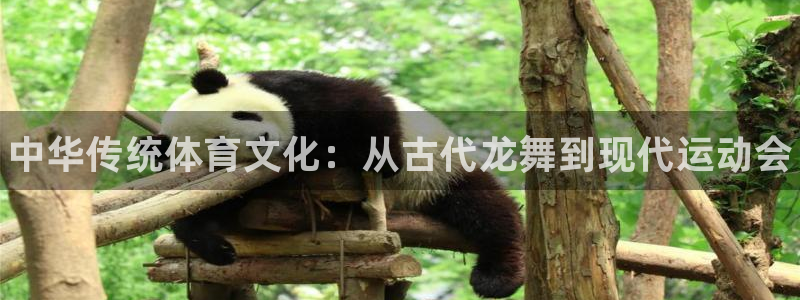 vsport体育在线官网：中华传统体育文化：从古代龙舞到现代运动会