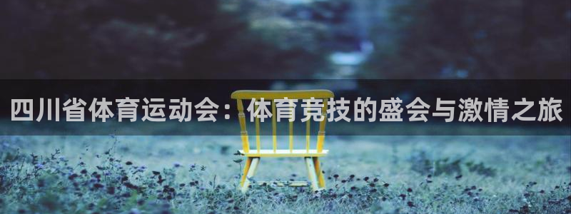 vsport体育：四川省体育运动会：体育竞技的盛会与激情之旅
