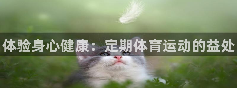 vsport体育在线官网：体验身心健康：定期体育运动的益处