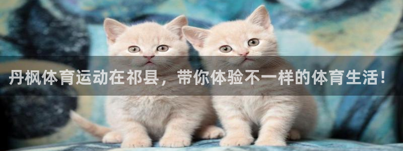 vsport体育：丹枫体育运动在祁县，带你体验不一样的体育生活！