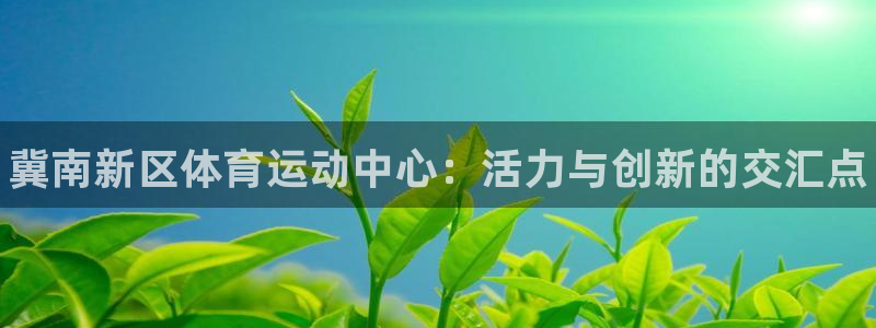 vsport体育在线官网：冀南新区体育运动中心：活力与创新的交汇点