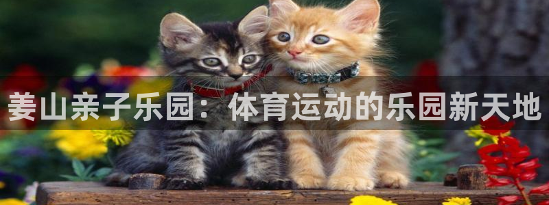 vsport体育在线官网：姜山亲子乐园：体育运动的乐园新天地