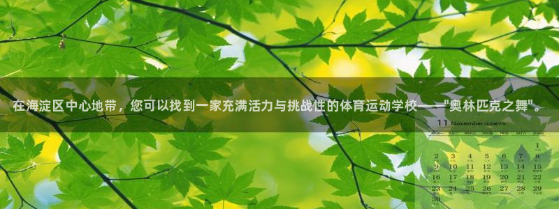 vsport体育：在海淀区中心地带，您可以找到一家充满活力与挑战性的体育运动学校——\