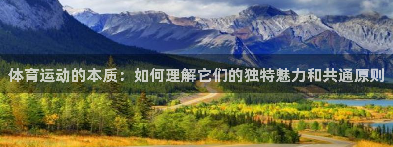 vsport体育：体育运动的本质：如何理解它们的独特魅力和共通原则