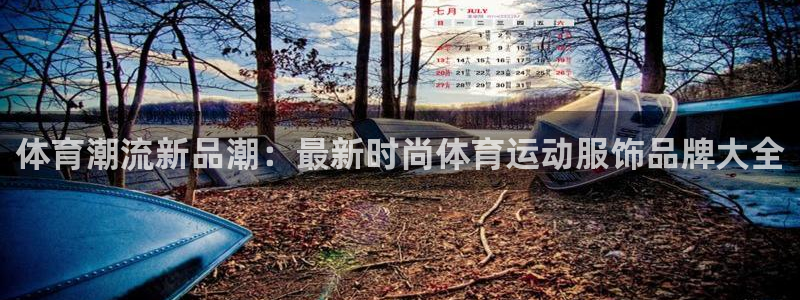 vsport体育：体育潮流新品潮：最新时尚体育运动服饰品牌大全