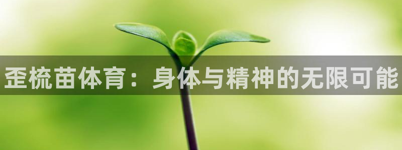 vsport体育：歪梳苗体育：身体与精神的无限可能