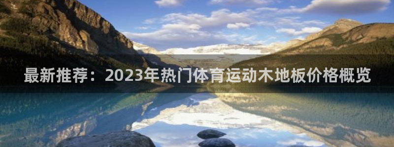 vsport体育在线官网：最新推荐：2023年热门体育运动木地板价格概览