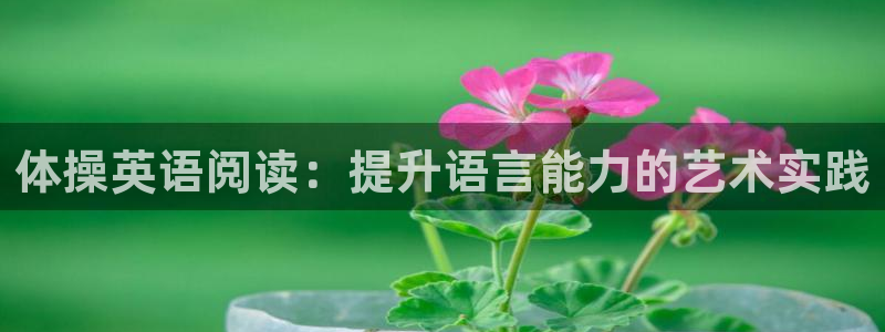 vsport体育在线官网：体操英语阅读：提升语言能力的艺术实践