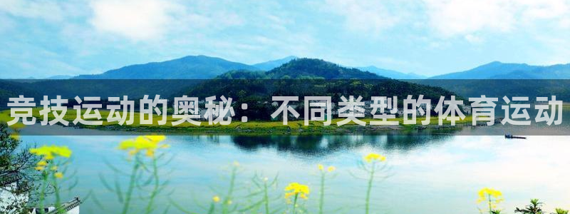 vsport体育在线官网：竞技运动的奥秘：不同类型的体育运动