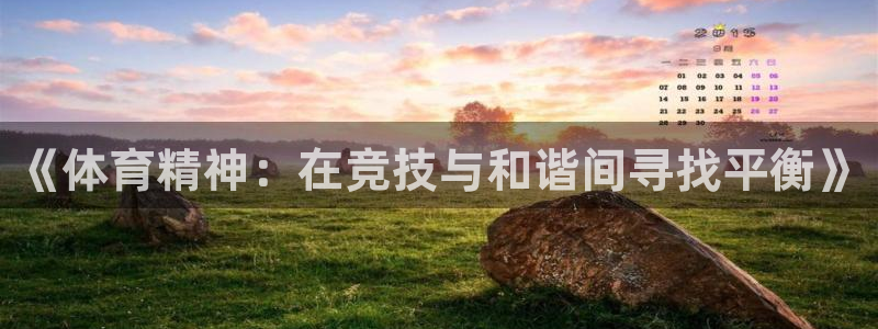 vsport体育在线官网：《体育精神：在竞技与和谐间寻找平衡》