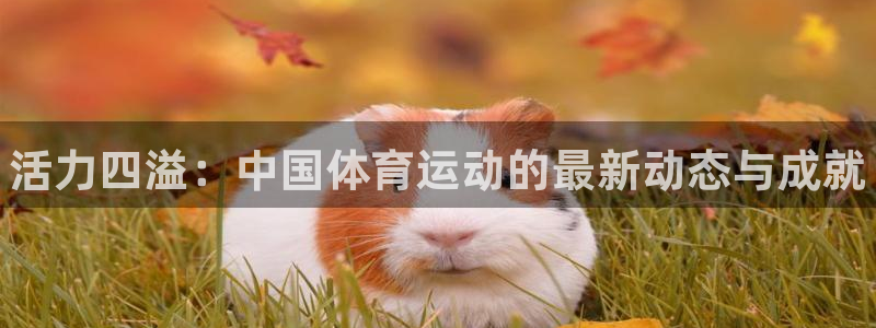 vsport体育：活力四溢：中国体育运动的最新动态与成就