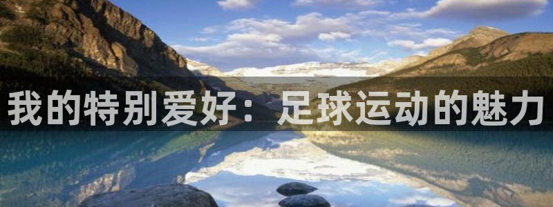 vsport体育：我的特别爱好：足球运动的魅力