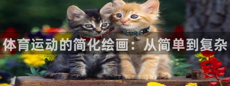 vsport体育在线官网：体育运动的简化绘画：从简单到复杂