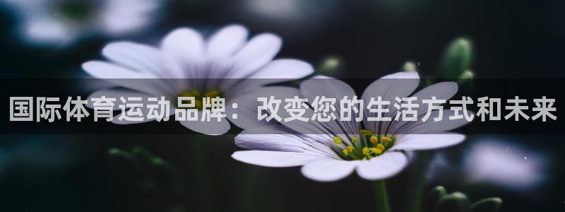 vsport体育在线官网：国际体育运动品牌：改变您的生活方式和未来
