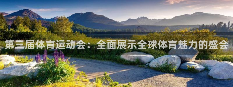 vsport体育在线官网：第三届体育运动会：全面展示全球体育魅力的盛会