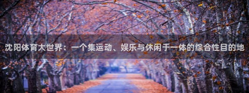 vsport体育在线官网：沈阳体育大世界：一个集运动、娱乐与休闲于一体的综合性目的地