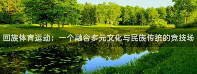 vsport体育：回族体育运动：一个融合多元文化与民族传统的竞技场