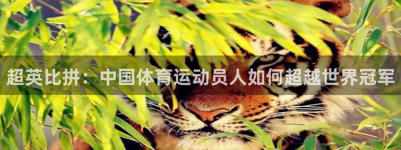 vsport体育在线官网：超英比拼：中国体育运动员人如何超越世界冠军