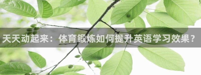 vsport体育：天天动起来：体育锻炼如何提升英语学习效果？