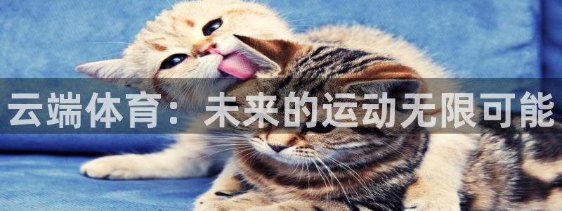 vsport体育在线官网：云端体育：未来的运动无限可能